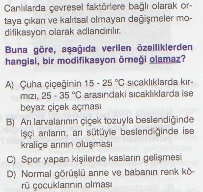 Mutasyon Modifikasyon Adaptasyon Test5 Referansli Ogrenciden Ozel Ders