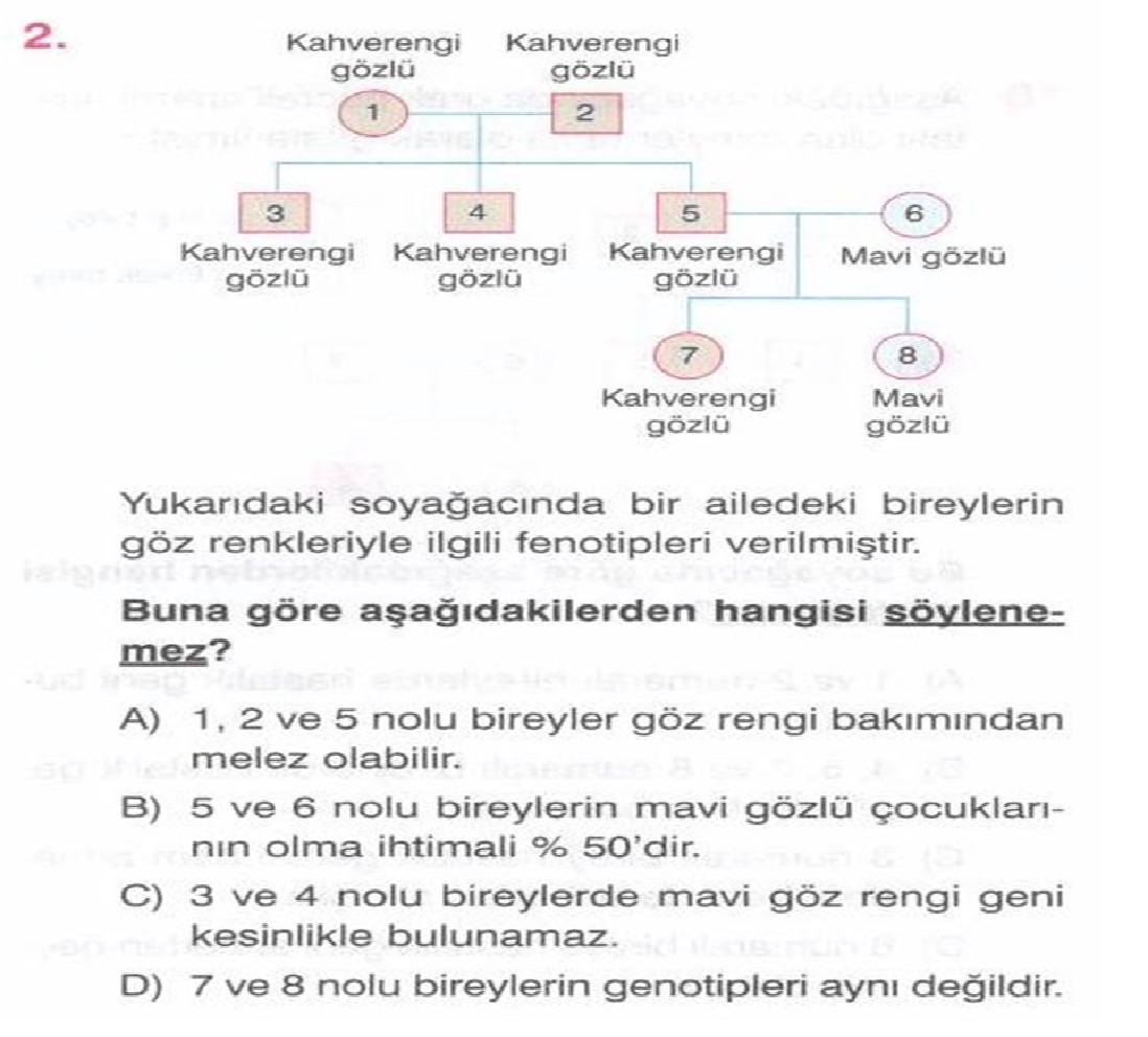 Kalitim Test6 Referansli Ogrenciden Ozel Ders